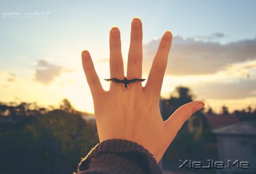 文字:卿与谁归